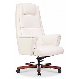 Кресло для руководителя Бюрократ _DUKE