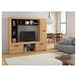 Гарнитур для гостиной Огюст 3 дуб золотой / венге