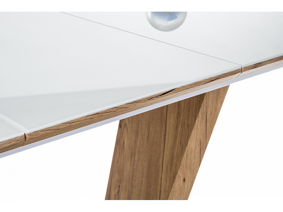 Петир белый / дуб монтана