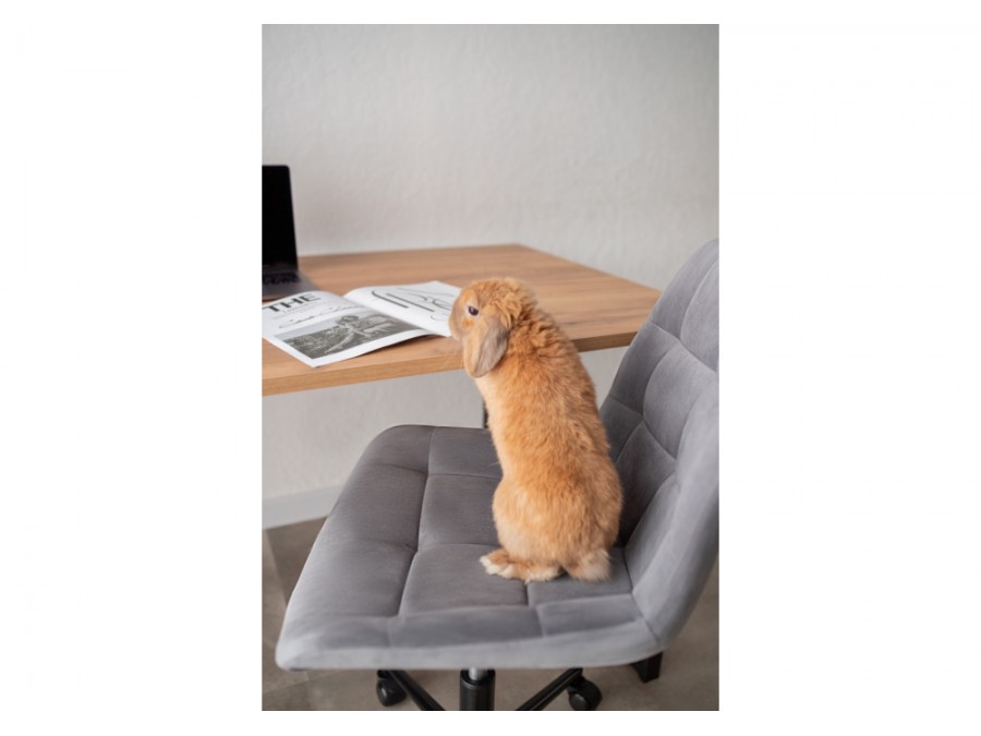 Лиман 140 х 80 дуб крафт золотой / черный матовый