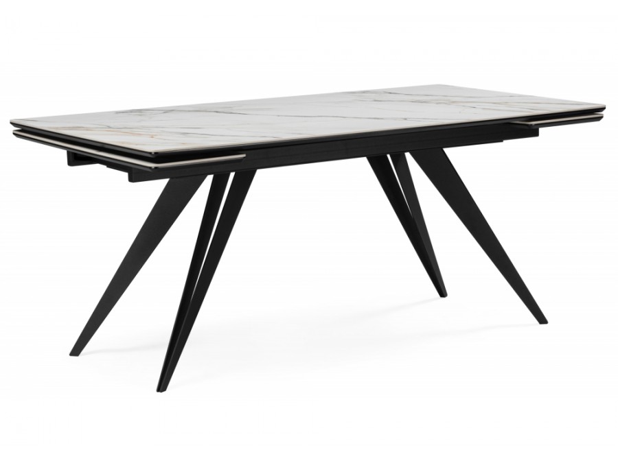 Дарвин 160(220)х89 белый с прожилками gilt white / черный