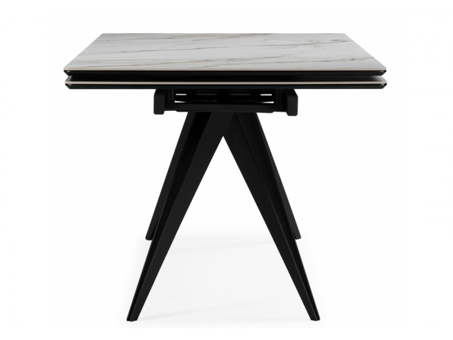 Дарвин 160(220)х89 белый с прожилками gilt white / черный