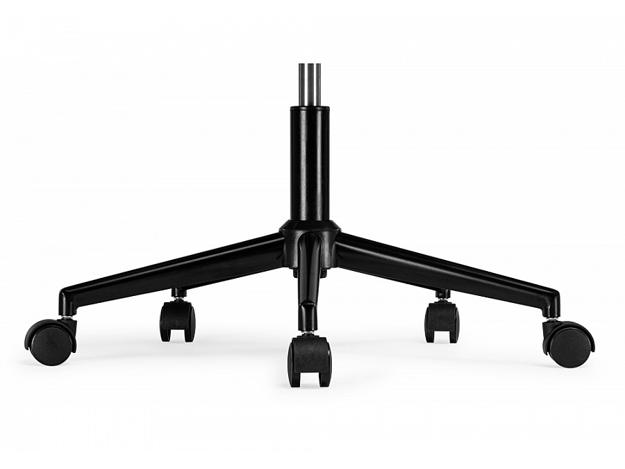 Lika white teddy / black