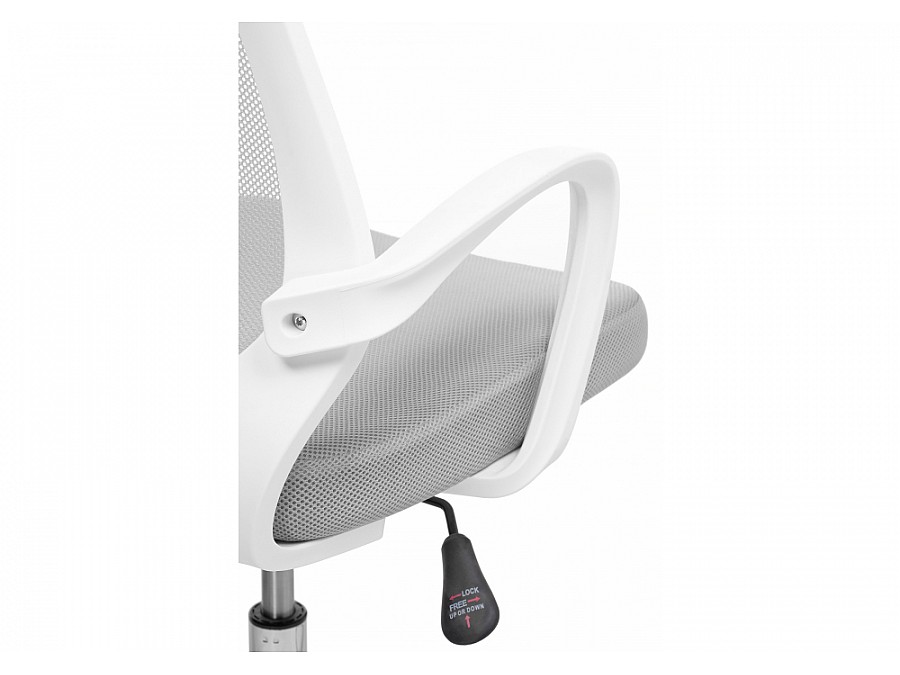 Ergoplus белое / серое