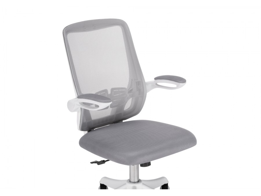 Компьютерное кресло Salem gray / white