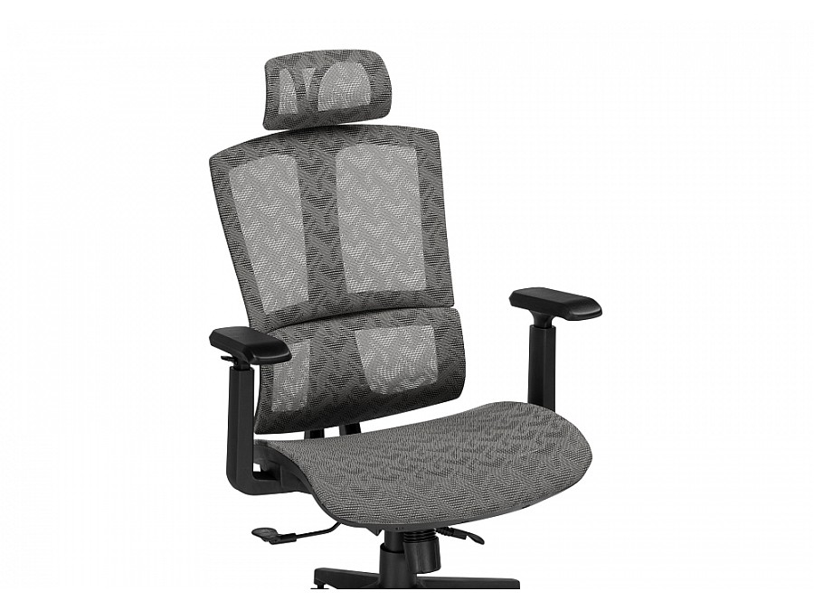 Компьютерное кресло Lanus gray / black