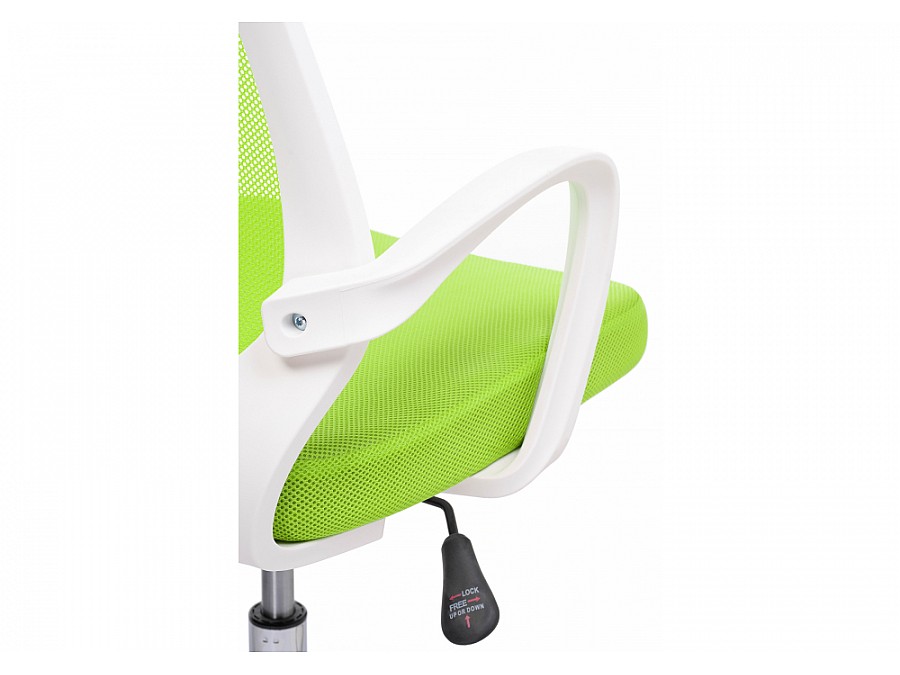Ergoplus белое / зеленое