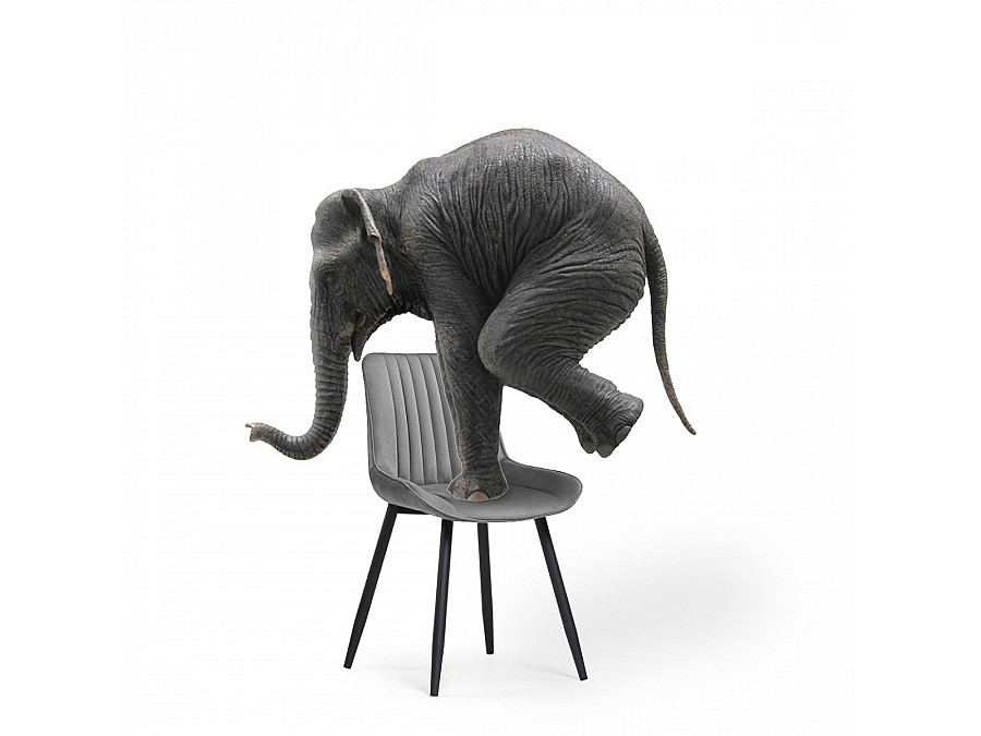 Стул на металлокаркасе Седа темно-серый / черный