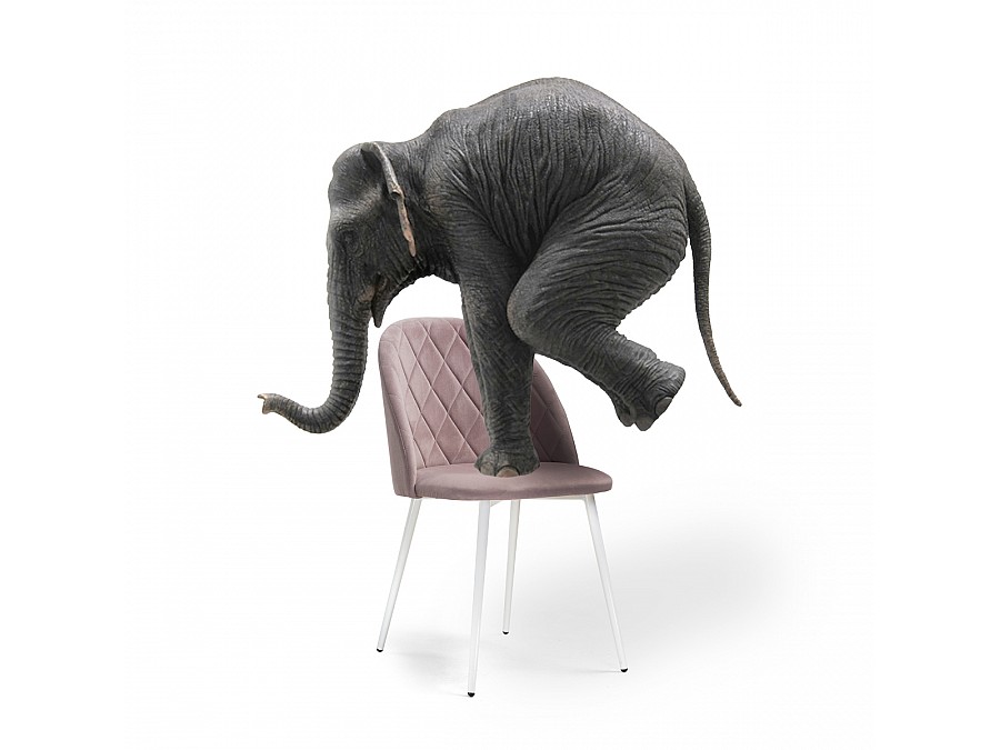 Стул на металлокаркасе Зест микровелюр розовый / белый глянец