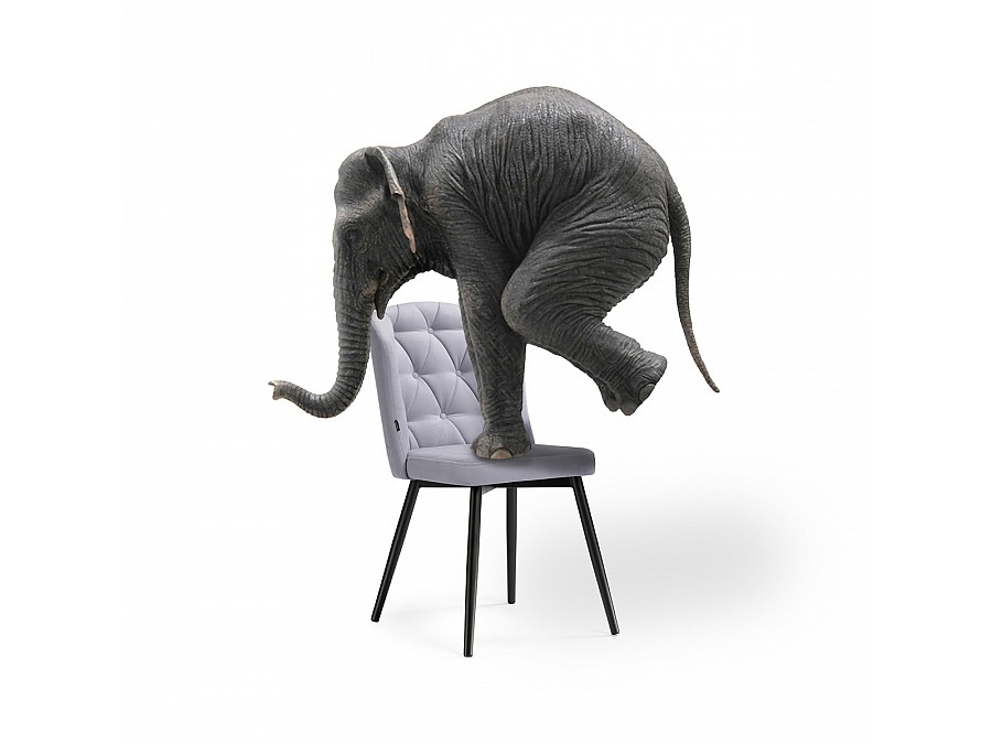 Стул на металлокаркасе Алиссум velutto 49 / черный