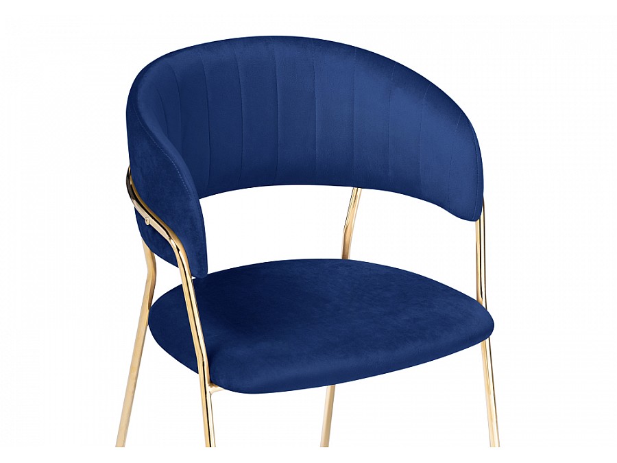 Kamelia dark blue / gold