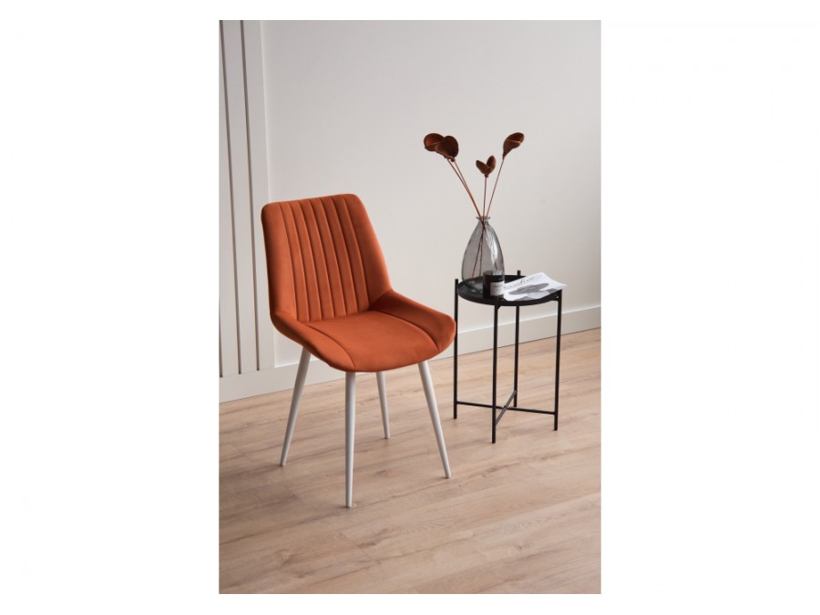 Седа терракотовый (zd 432) / белый np