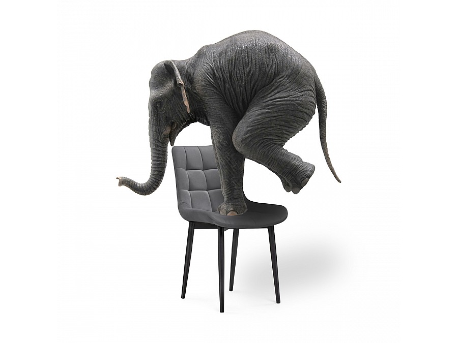 Стул на металлокаркасе Челси велюр темно-серый / черный