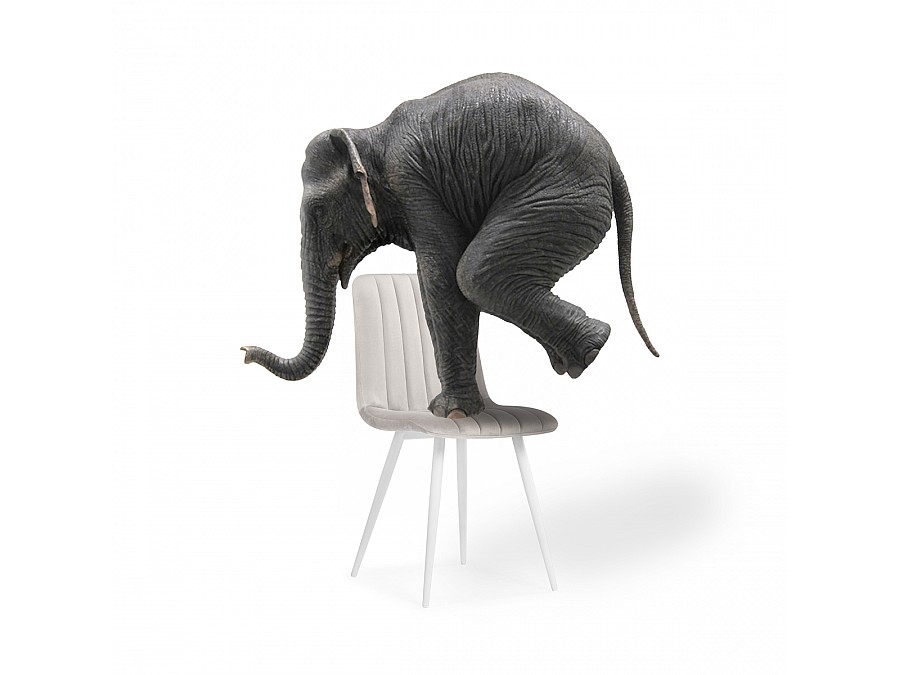 Стул на металлокаркасе Дани молочный велюр velutto 67 / белый