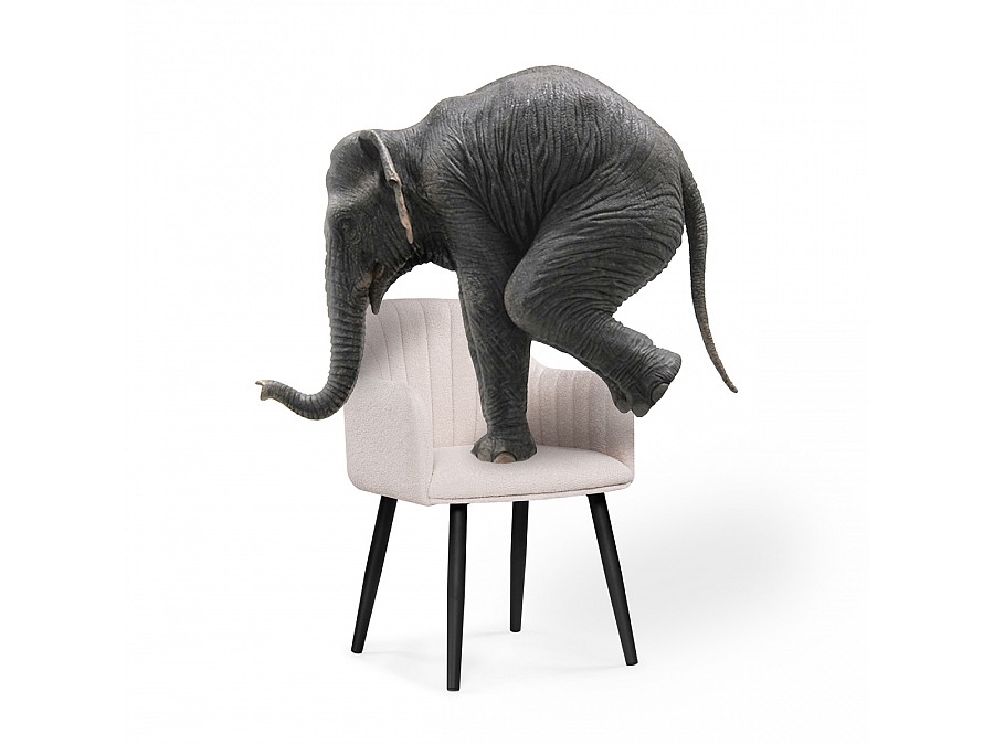 Стул на металлокаркасе Халли lamb 19 / черный