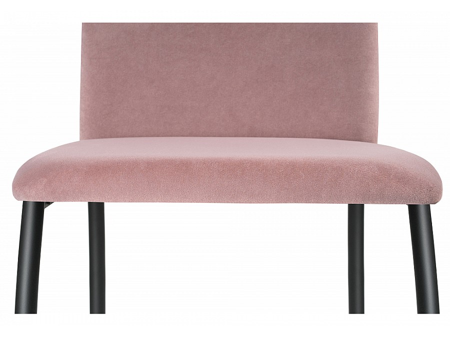 Tod light purple / black