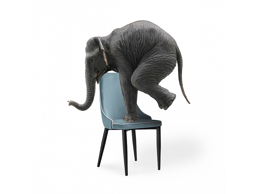 Стул на металлокаркасе Kora 1 light blue / white / black