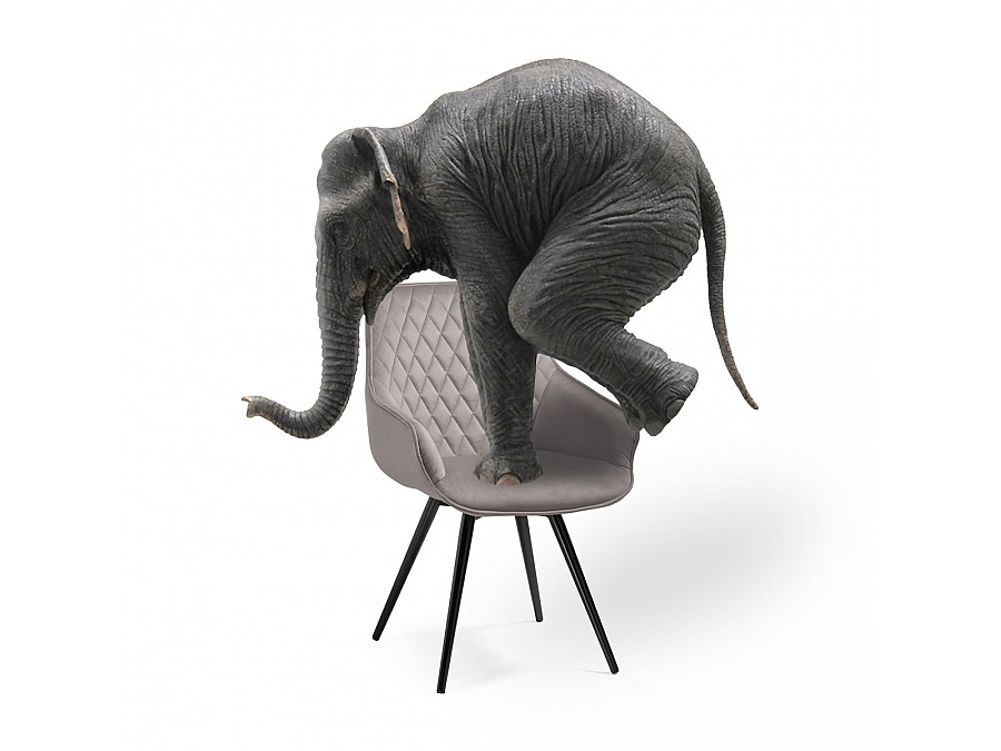 Стул на металлокаркасе Эгел серый / черный глянец