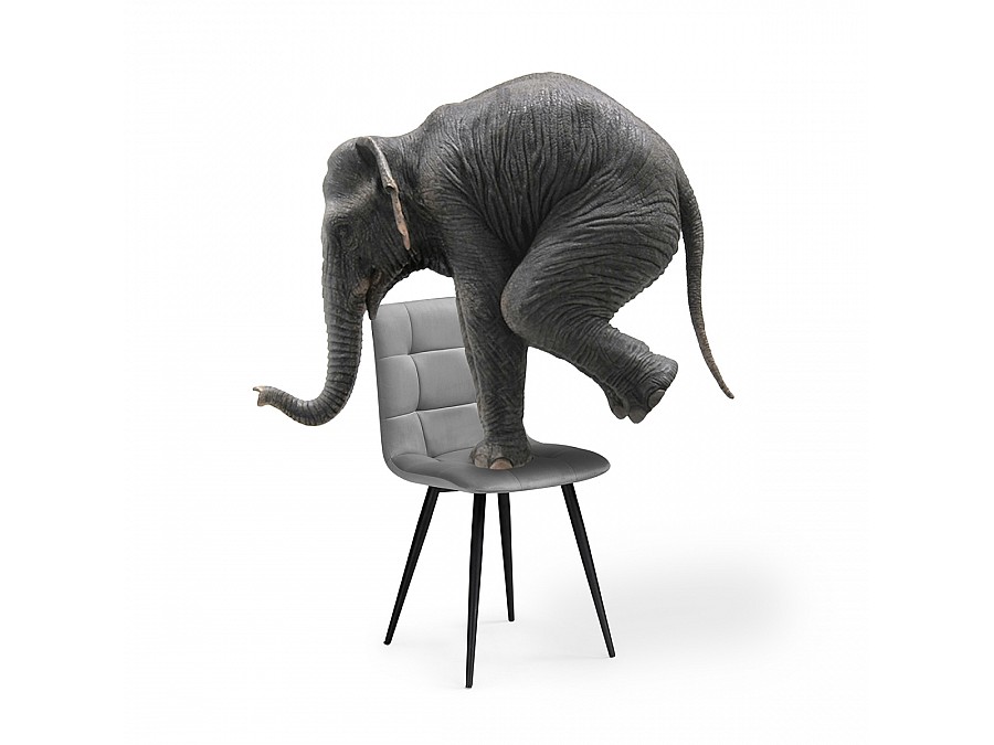 Стул на металлокаркасе Чилли К темно-серый / черный