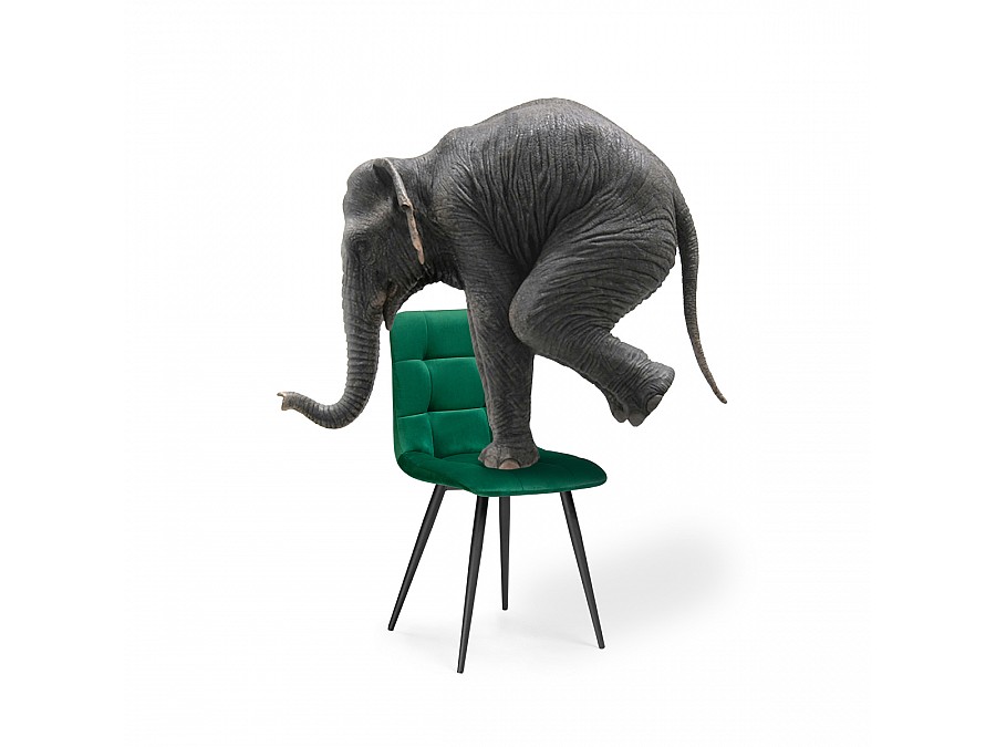 Стул на металлокаркасе Чилли К зеленый / черный