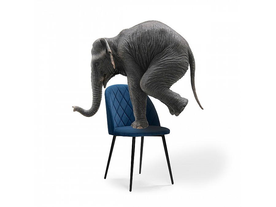 Стул на металлокаркасе Зест микровелюр темно-синий / черный глянец