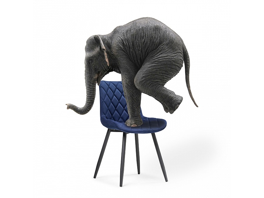 Стул на металлокаркасе Баодин Б/К синий / черный