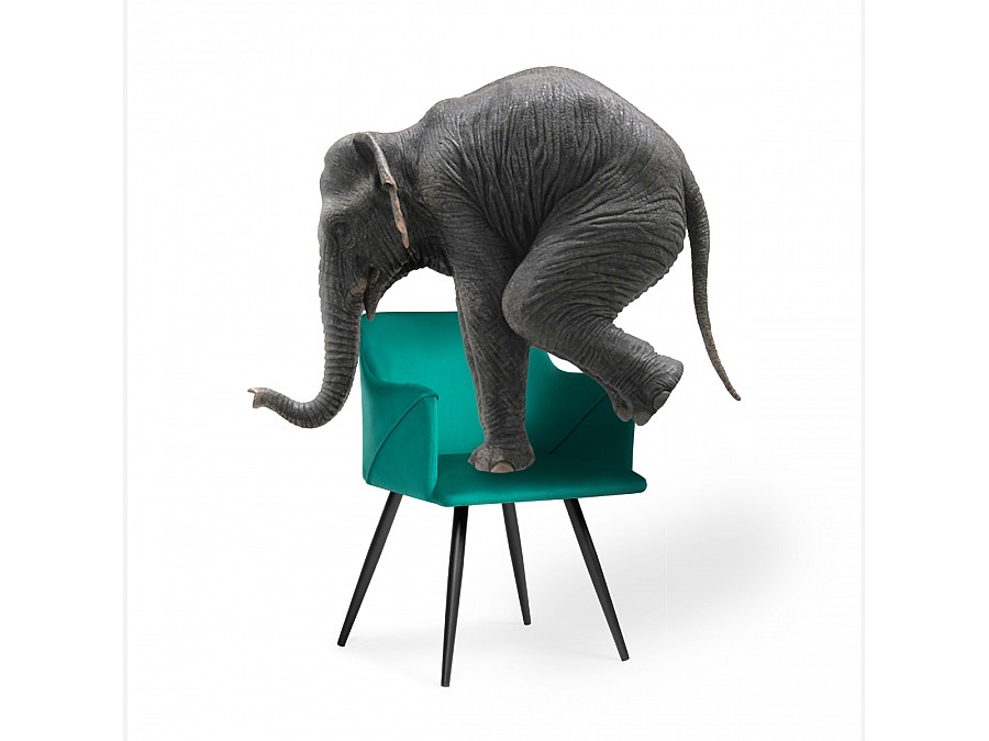 Стул на металлокаркасе Эджелл зеленый / черный