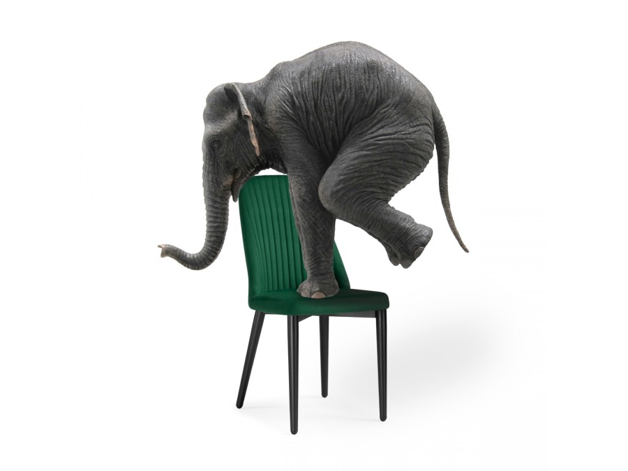 Стул на металлокаркасе Фена R зеленый / черный