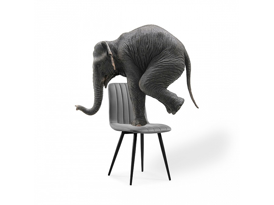 Стул на металлокаркасе Дани темно-серый / черный