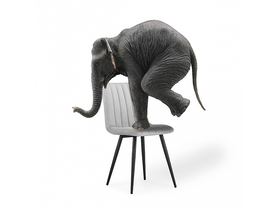 Стул на металлокаркасе Дани светло-серый / черный