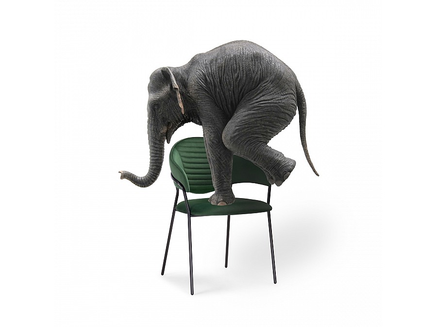 Стул на металлокаркасе Рансол темно-зеленый / черный глянец