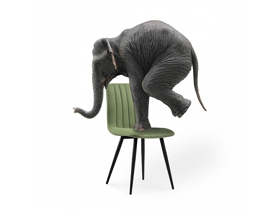 Стул на металлокаркасе Дани зеленый / черный