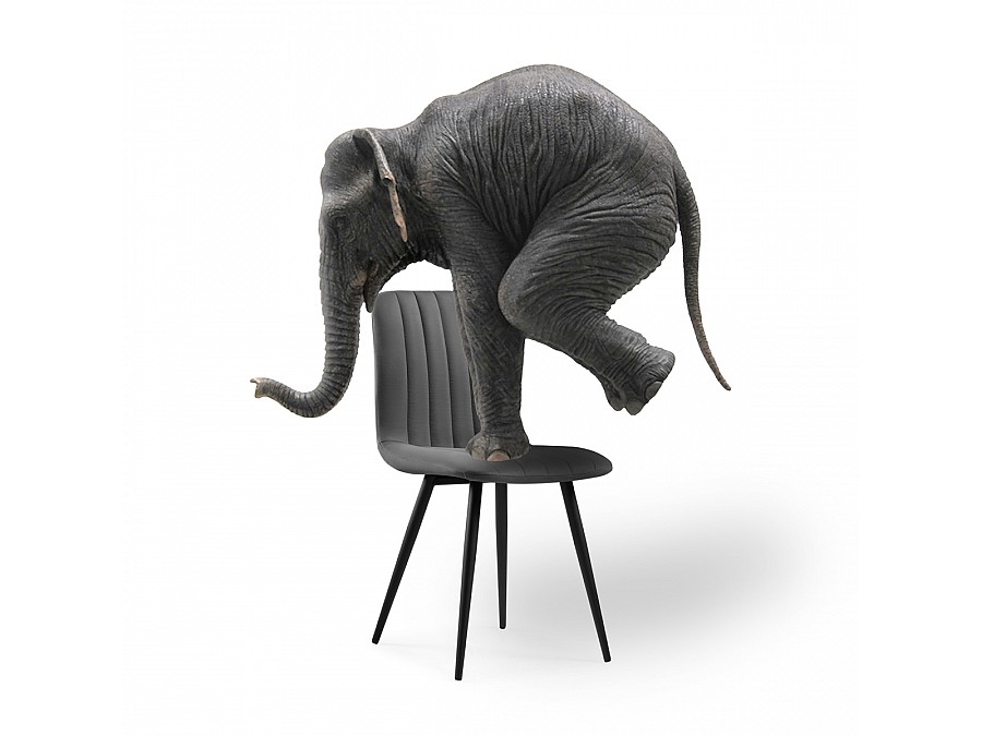 Стул на металлокаркасе Дани серый велюр velutto 32 / черный