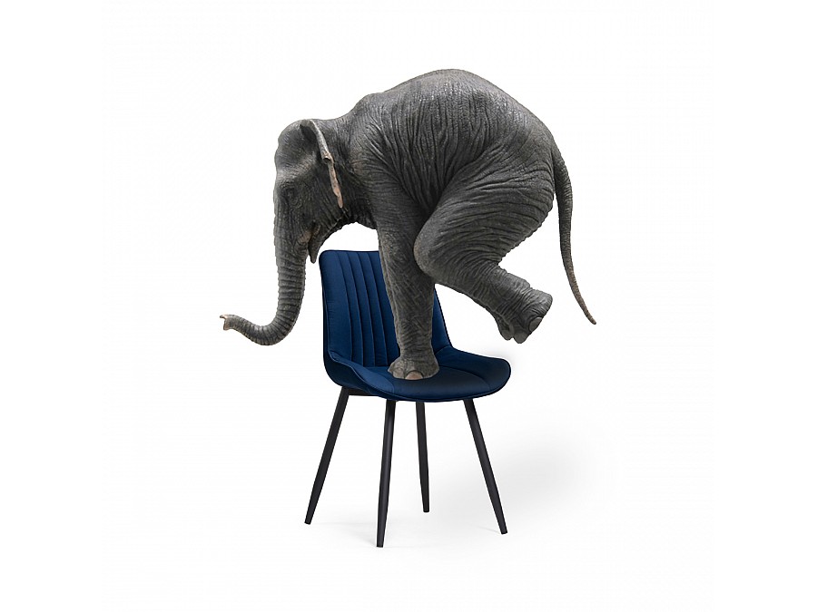 Стул на металлокаркасе Седа велюр синий / черный