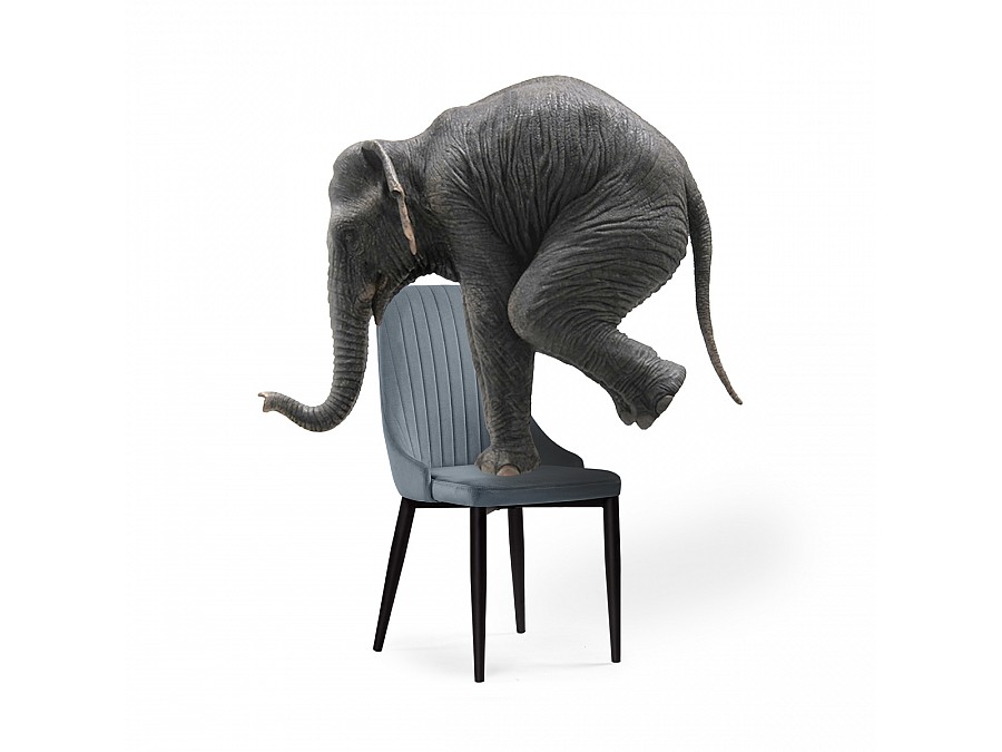 Стул на металлокаркасе Kora gray / black