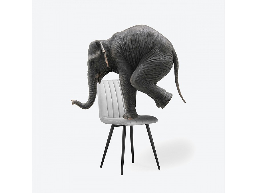 Стул на металлокаркасе Дани серый велюр velutto 52 / черный