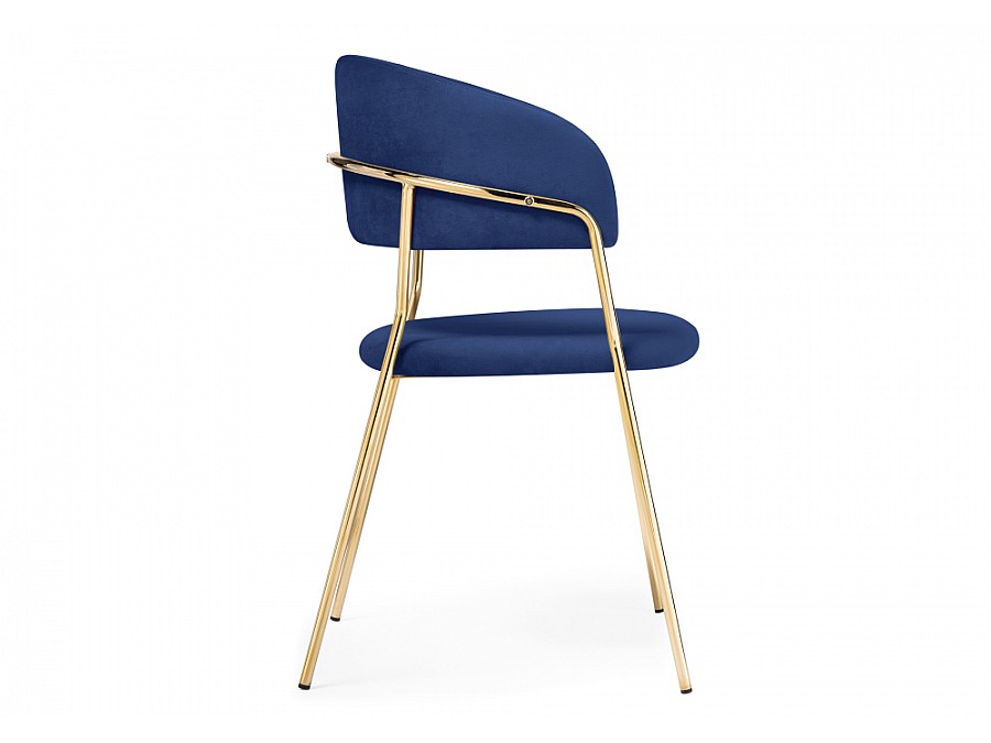 Kamelia dark blue / gold