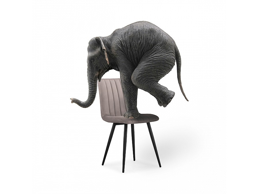 Стул на металлокаркасе Дани латте велюр velutto 08 / черный