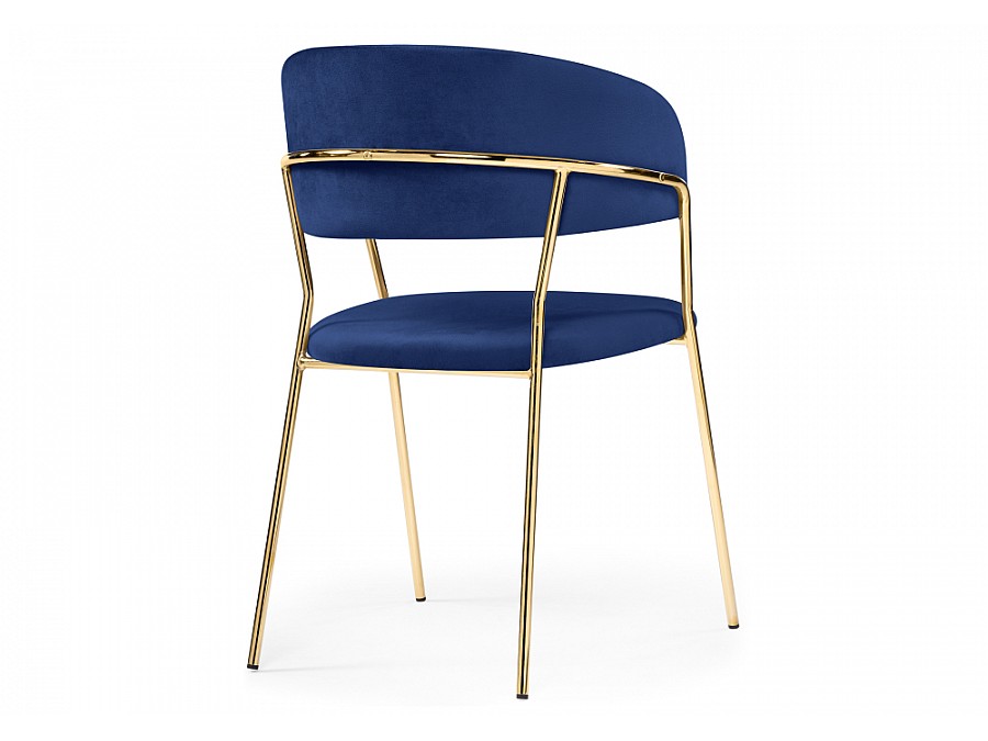 Kamelia dark blue / gold