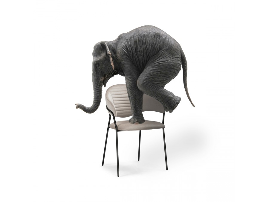 Стул на металлокаркасе Рансол дымчатый / черный глянец