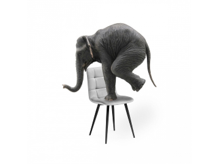 Стул на металлокаркасе Чилли К светло-серый / черный