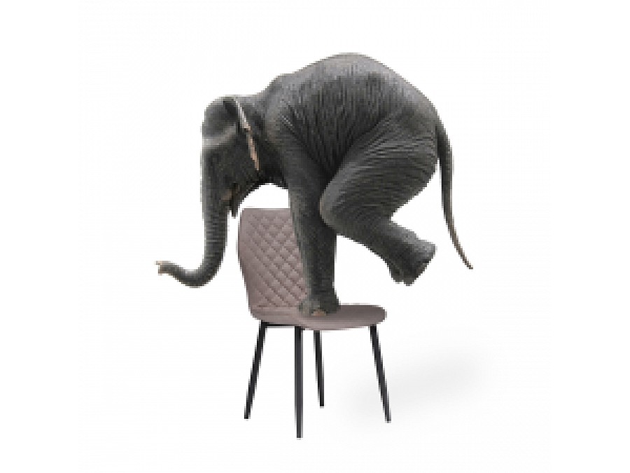 Стул на металлокаркасе Софи латте / черный