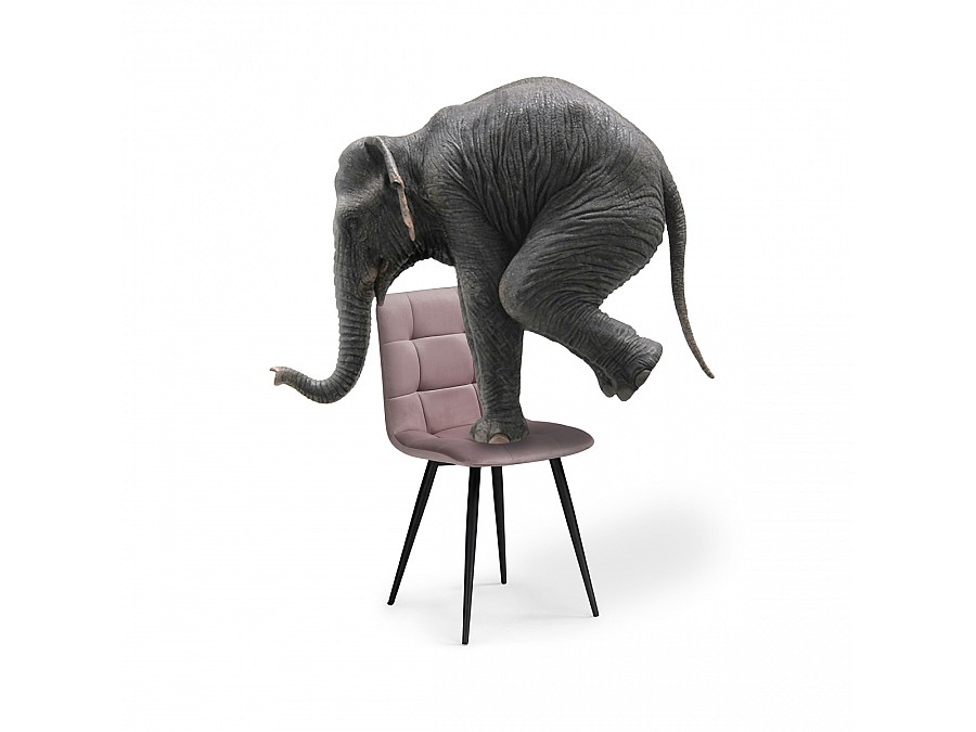 Стул на металлокаркасе Чилли К зеленый / черный