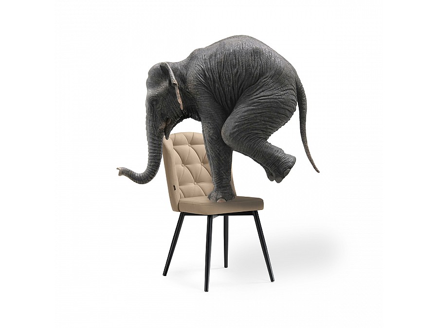 Стул на металлокаркасе Алиссум velutto 05 / черный