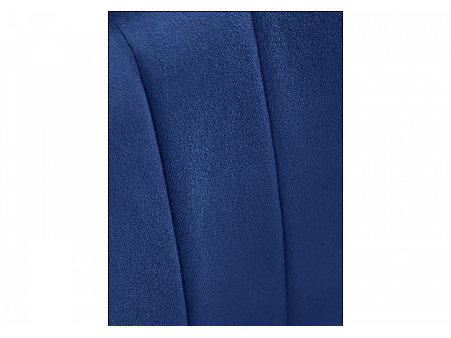 Kamelia dark blue / gold