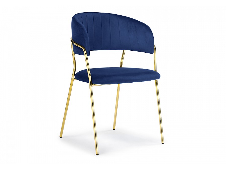 Kamelia dark blue / gold