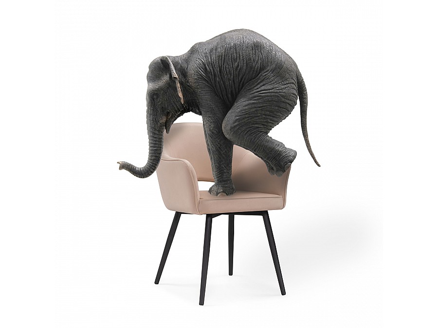 Стул на металлокаркасе Ойстер MR-26 / черный