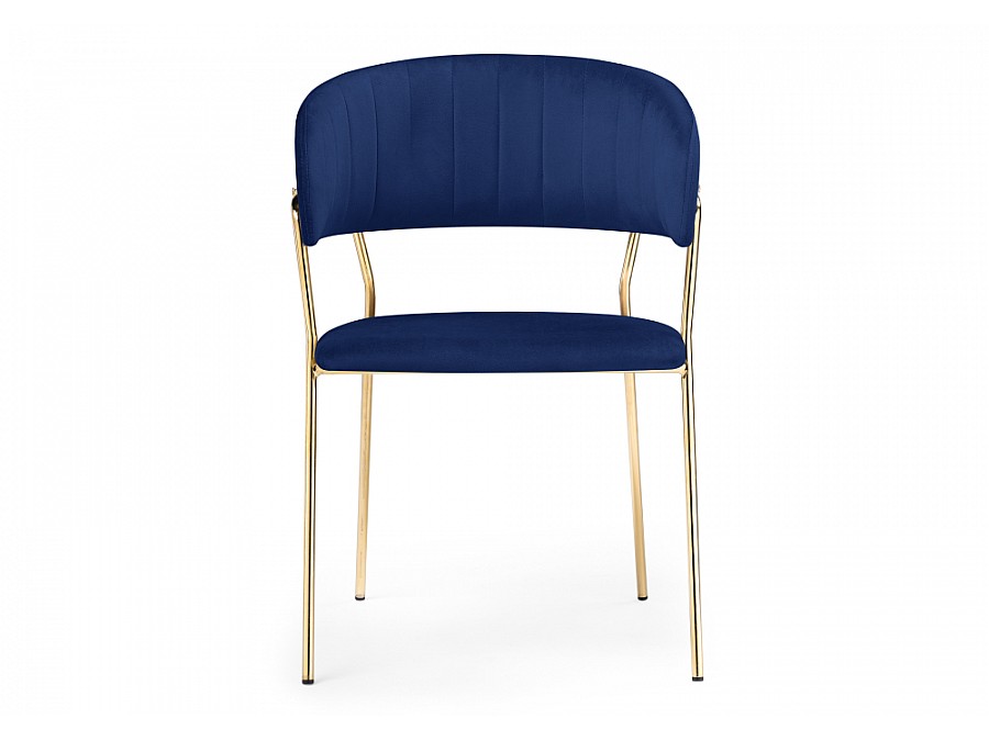Kamelia dark blue / gold
