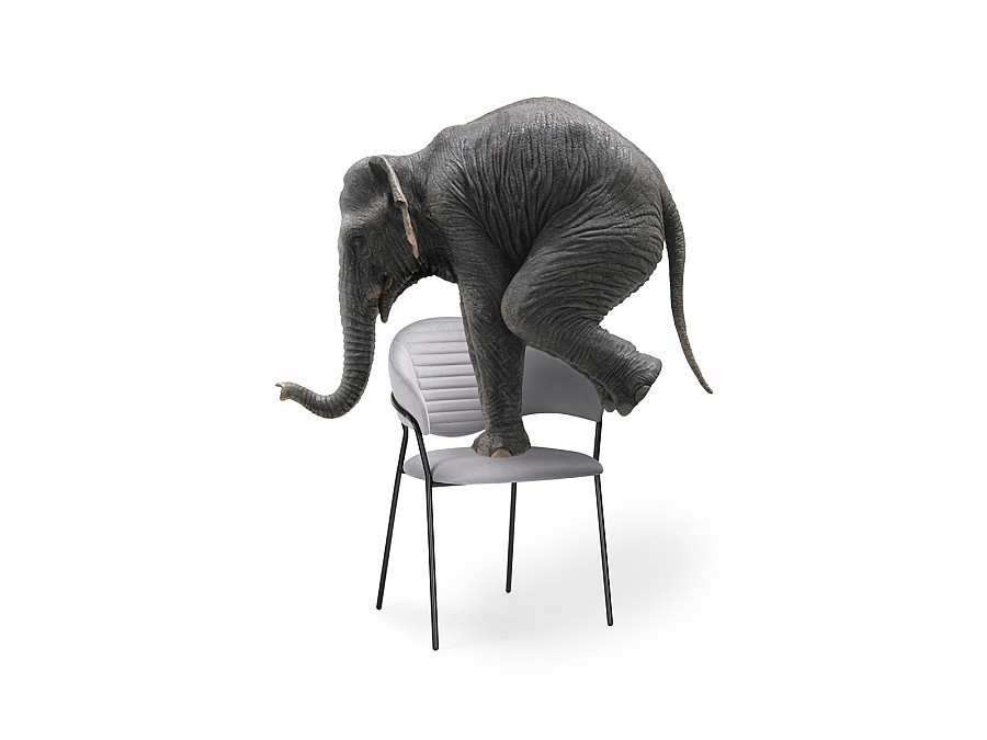 Стул на металлокаркасе Рансол серый / черный глянец