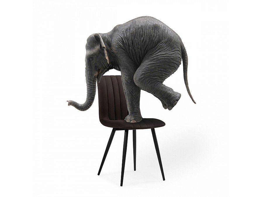 Стул на металлокаркасе Дани коричневый / черный